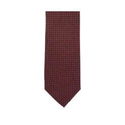 Cravate Homme Soie Bordeaux Micro Pois Bleu Ciel