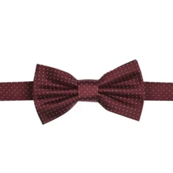 Noeud Papillon Soie Micro Pois Bordeaux Et Bleu Ciel