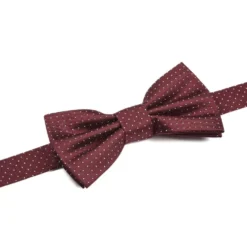 Noeud Papillon Soie Micro Pois Bordeaux Et Bleu Ciel -Magasin De Bexley 0101605f noeudpapillonsoiemicropois bordeaux et bleu ciel 4